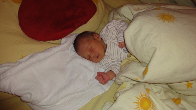 DSC00100.JPG